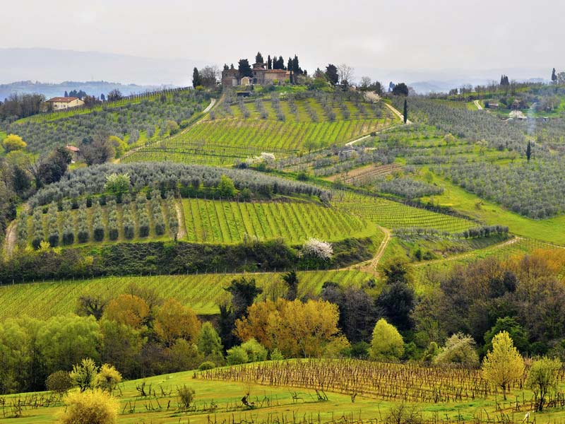 Strada del vino e dell'olio del Chianti classico