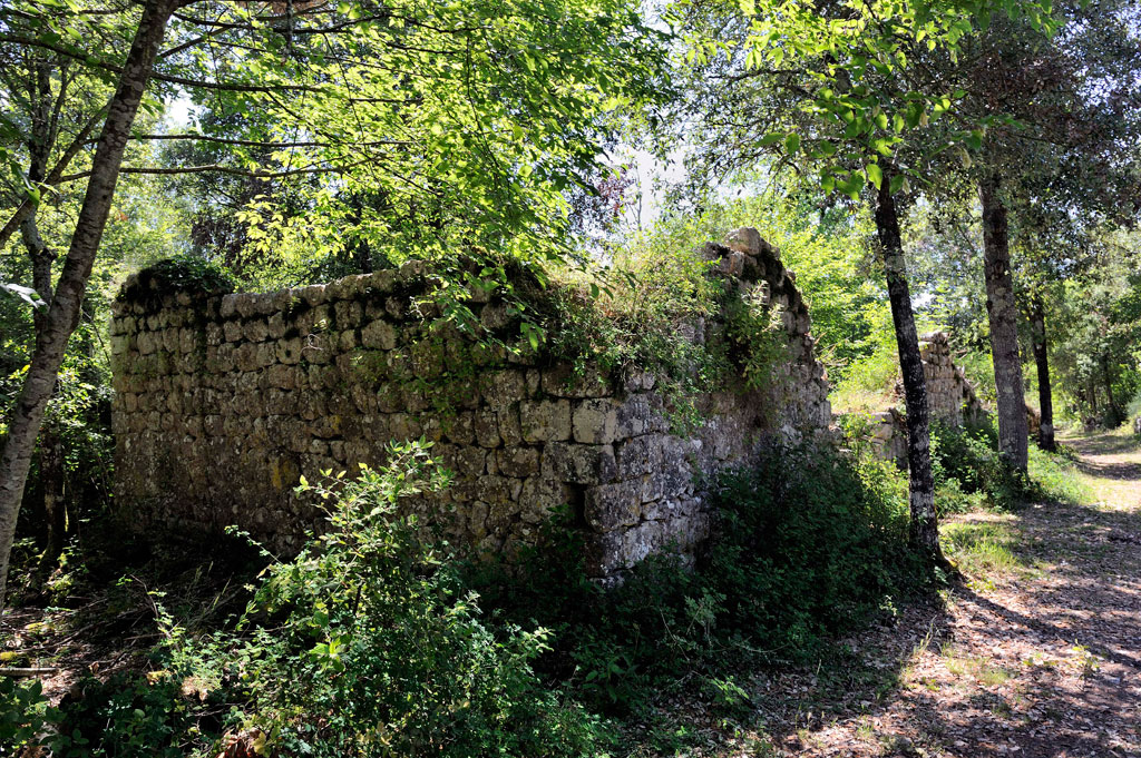 Escursione nella riserva naturale di Castelvecchio