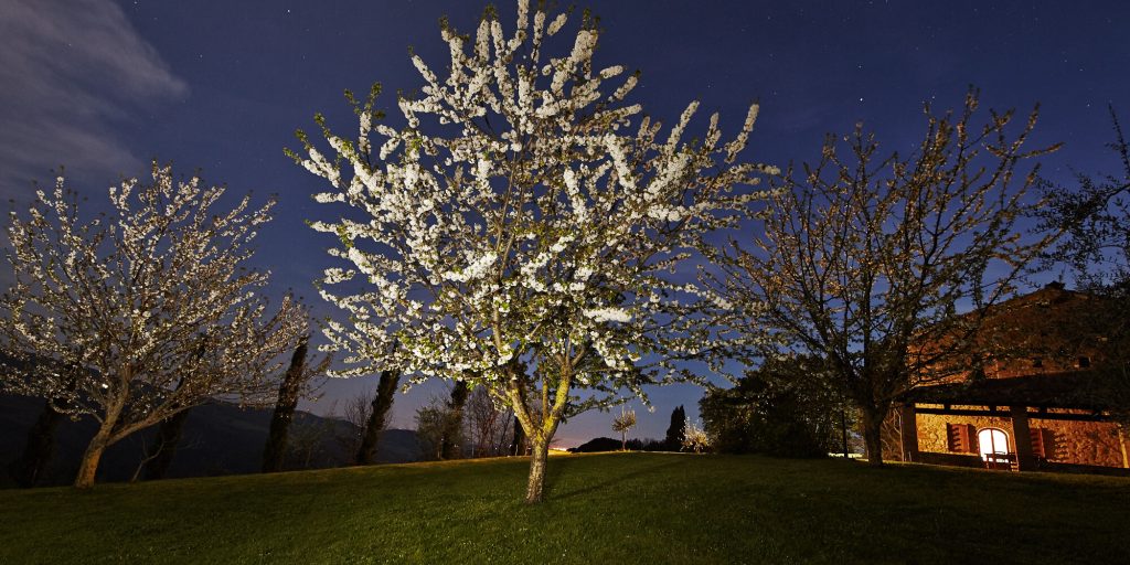 Appartamento Caccia Gambassi Terme